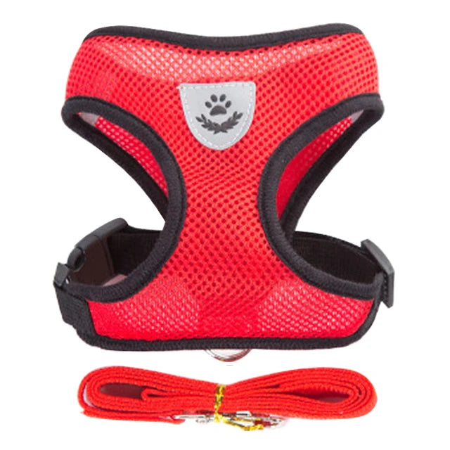 Harness for Small Dogs & Cats.