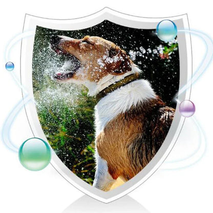 Pet Active Nutritional Probiotics Improve Diarrhea.