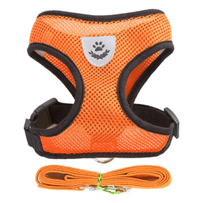 Harness for Small Dogs & Cats.
