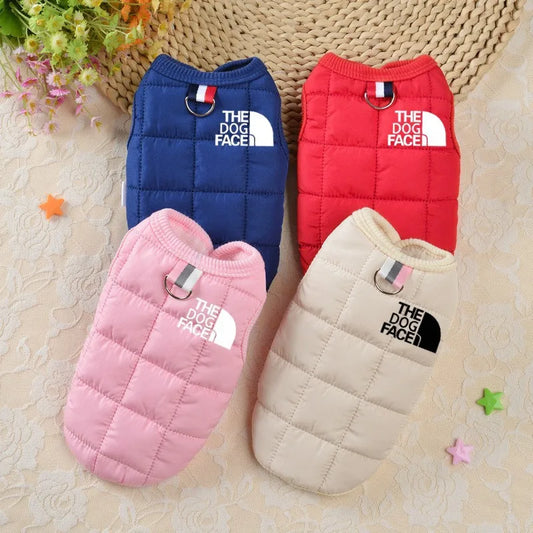Trendy Winter Dog Clothes.