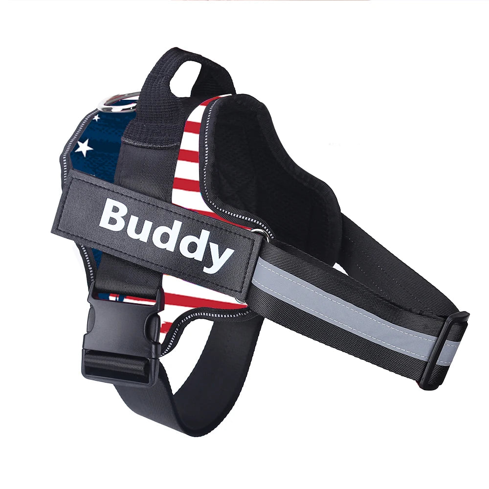 Personalized Dog Harness.