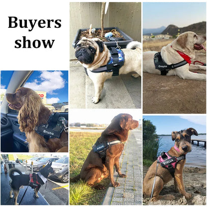 Personalized Dog Harness.