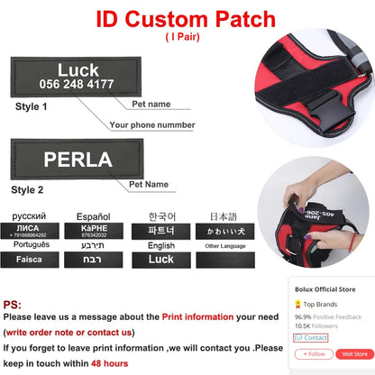 Personalized Dog Harness.