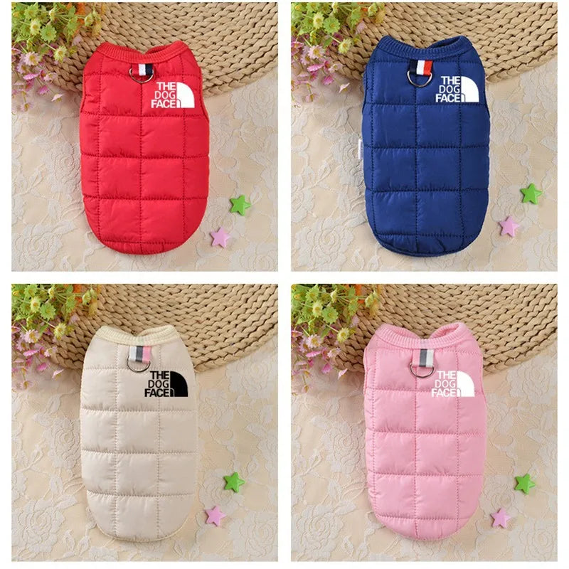 Trendy Winter Dog Clothes.