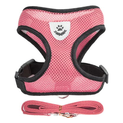 Harness for Small Dogs & Cats.