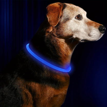 Anti-Lost LED light Dog Collar.