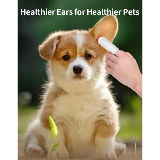 Ear Cleaning ear mite removal for dog and cat