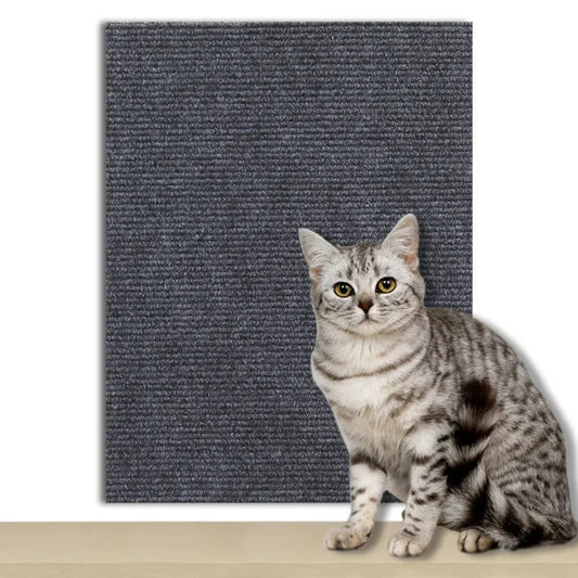 Self-Adhesive Anti Cat Scratch Carpet.