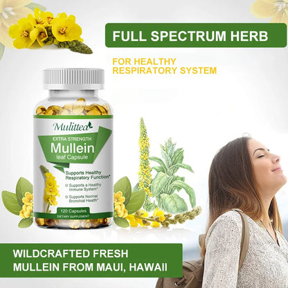 Mullein Lung Cleanser-Asthma Health-Herbal Supplement.