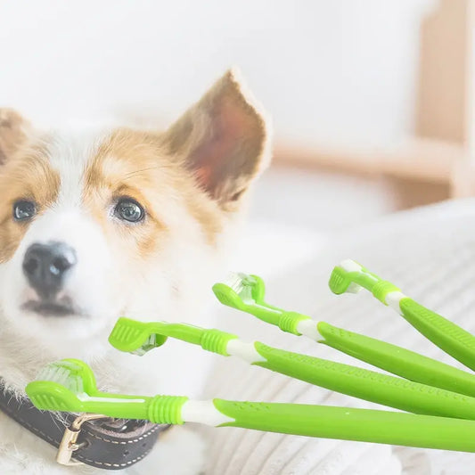 Dog & Cat Toothbrush.