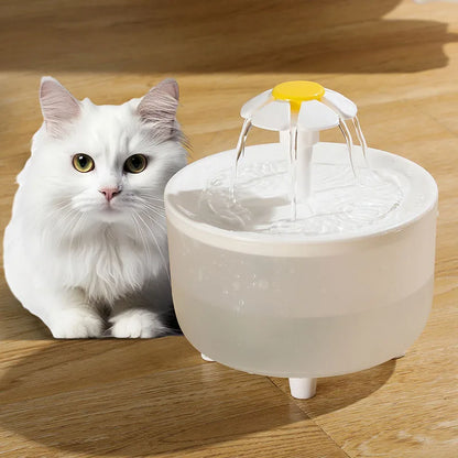 USB Electric Pet fountain drinking bowl.