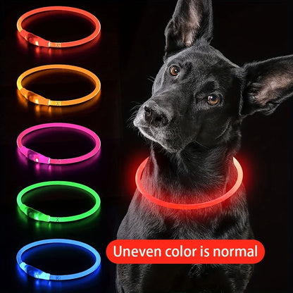 Anti-Lost LED light Dog Collar.