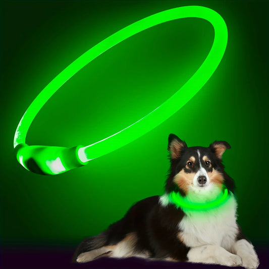 Anti-Lost LED light Dog Collar.