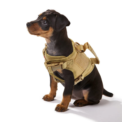 Puppy Harness Leash For Small Dogs & Cats.