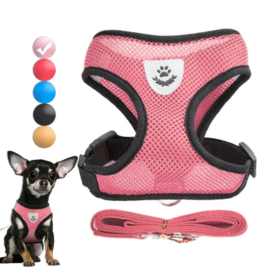 Harness for Small Dogs & Cats.