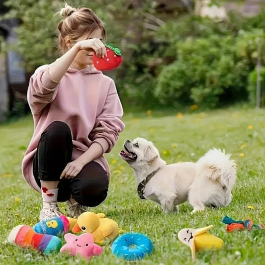 7-piece set of Puppy sound Toys.
