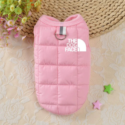 Trendy Winter Dog Clothes.