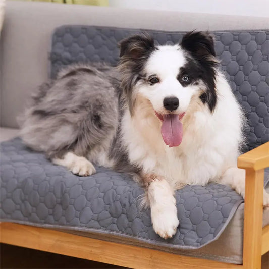 Reusable Dog Pee Pad.
