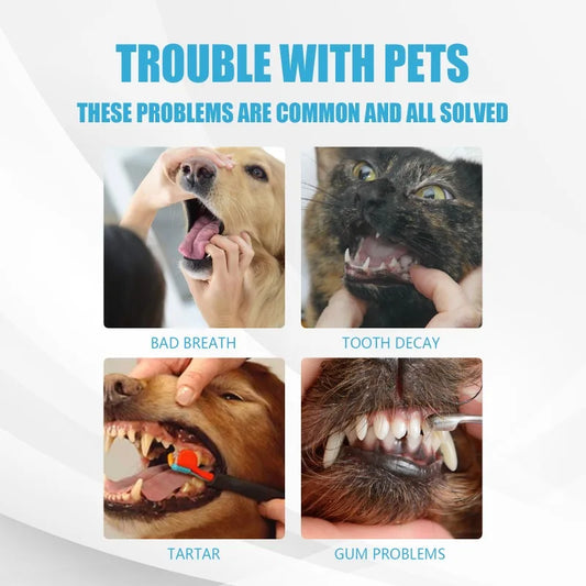 Toothpaste for Dogs & Cats.
