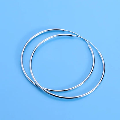 High Quality Silver Stud Earrings 925 For Women - BLAKESTORE-NG