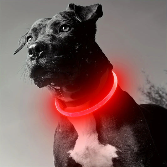 Anti-Lost LED light Dog Collar.