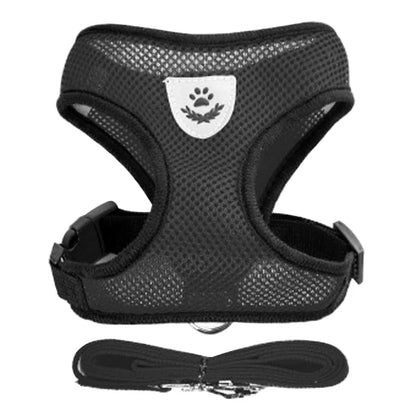 Harness for Small Dogs & Cats.