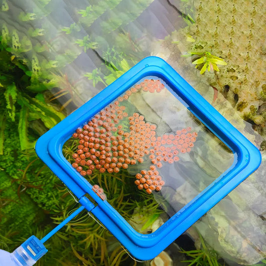 Floating Fish Food Feeder Ring.