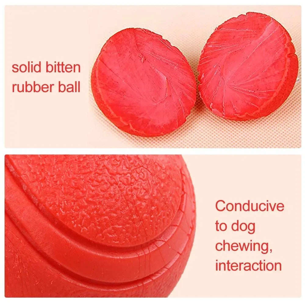Indestructible Chew Proof Rubber Ball.