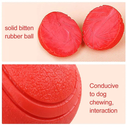 Indestructible Chew Proof Rubber Ball.