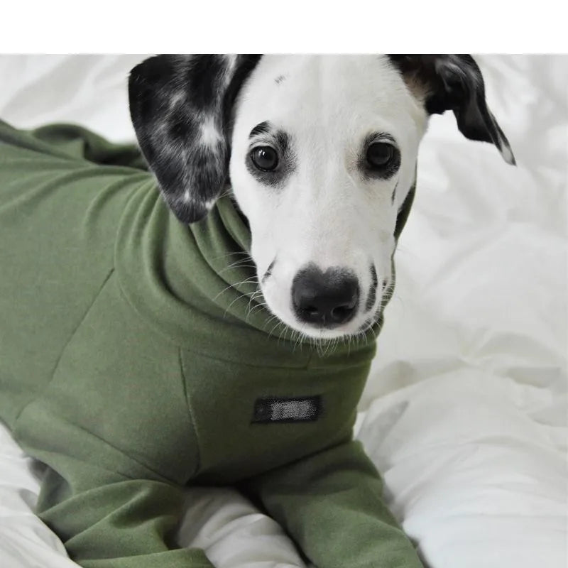 small dog winter turtleneck pajamas