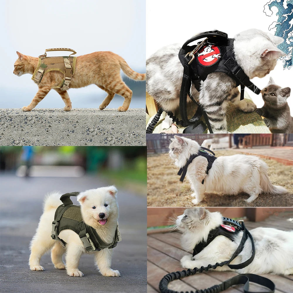 Puppy Harness Leash For Small Dogs & Cats.