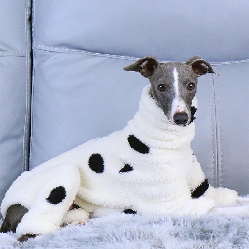 slim body dog winter jumper with turtleneck