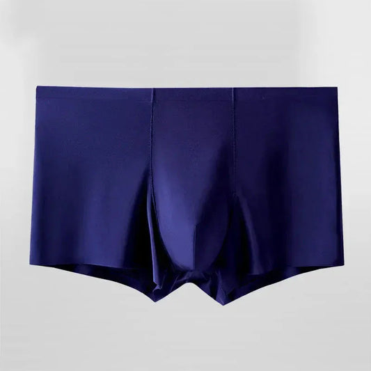 BLAKESTORE-NG Boxers Navy / L / 1pc Ice Silk Boxers