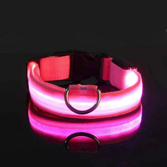 BLAKESTORE-NG Dog collar Dog LED Glow In The Dark collar.