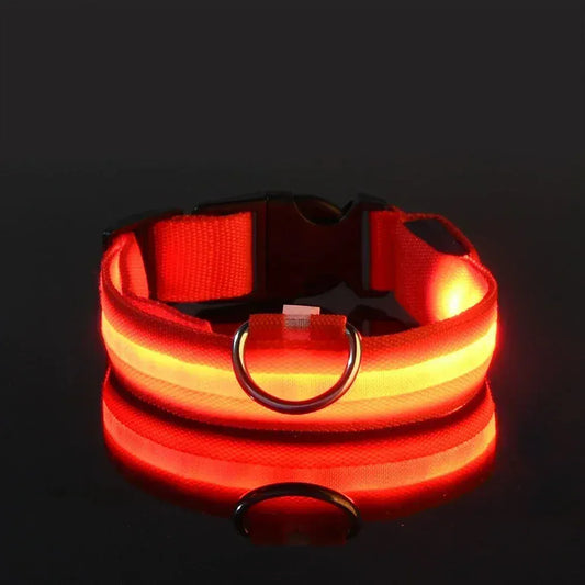 BLAKESTORE-NG Dog collar Dog LED Glow In The Dark collar.