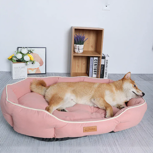BLAKESTORE-NG Dog sofa Large Bed House for Cats -Dogs
